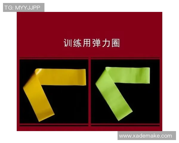 武汉羽毛球队耐力训练的深度分析与提升策略探讨