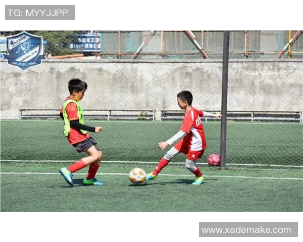 网球装备选购：训练器材推荐